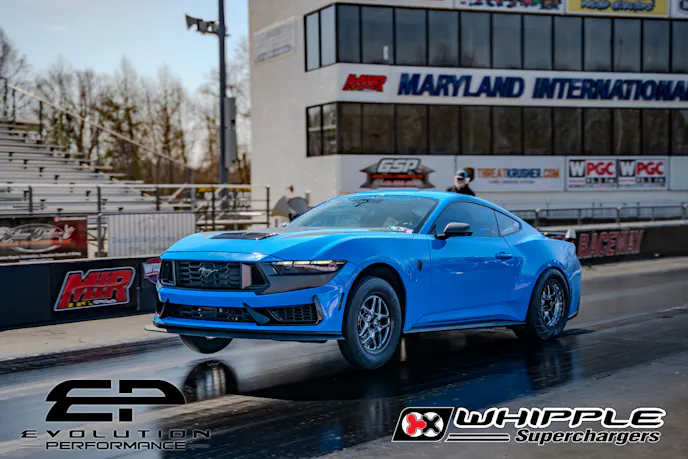 Evolution Performance 8-Second Dark Horse