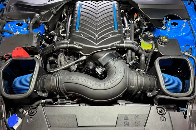 Evolution Performance 8-Second Dark Horse