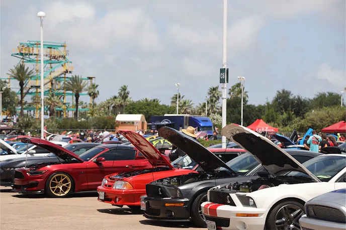 Mustangs at car show with hoods open