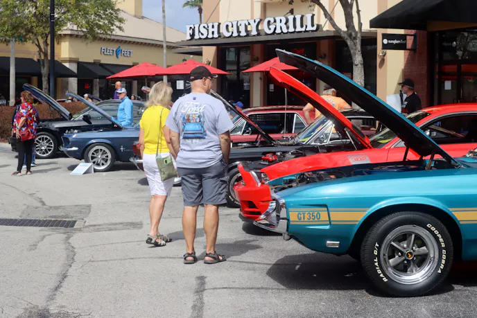 28th Annual Mustang & Mustangs Car Show