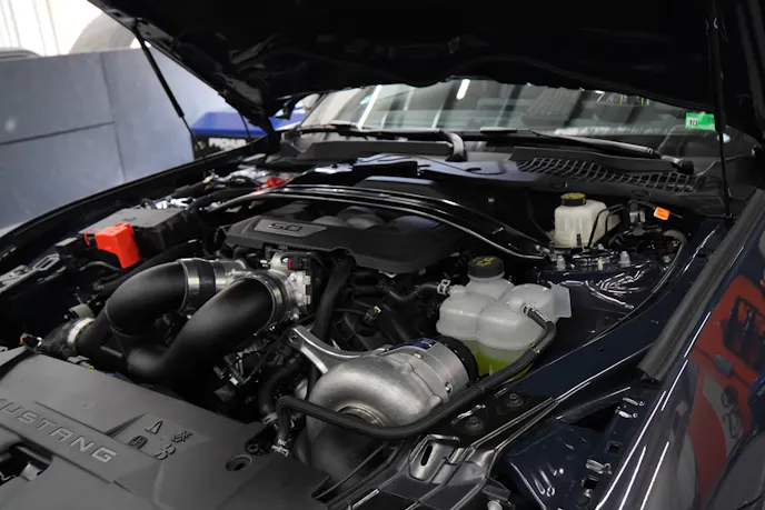 procharged dark horse setup