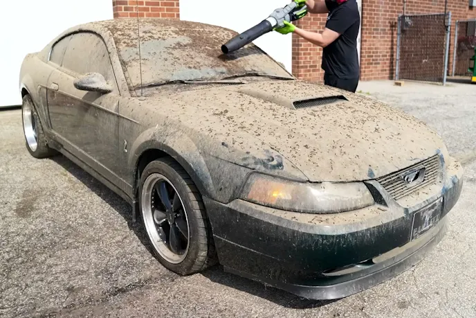 Bullitt Barn Find Detailed