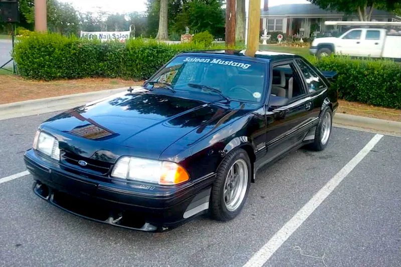 Fox Saleen Returns Home From The Ashes
