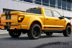 8-fm-shelby-championship-edition-f-150-www.fordmuscle.com