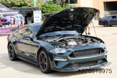 mustang-week-texas-cruise-in-45-www.fordmuscle.com