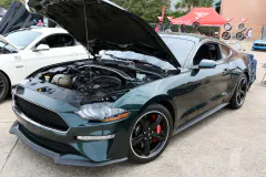 mustang-week-texas-car-show-33-www.fordmuscle.com