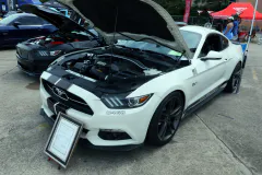 mustang-week-texas-car-show-34-www.fordmuscle.com