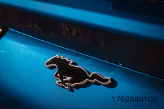 15-FM-Mustang-Mach-E-Trail_Gallery