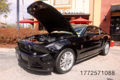 fm-mustangs-mustangs-show-2026-gallery-423-www.fordmuscle.com