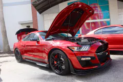 fm-mustangs-mustangs-show-2026-gallery-624-www.fordmuscle.com