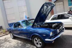 fm-mustangs-mustangs-show-2026-gallery-627-www.fordmuscle.com