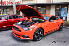 fm-mustangs-mustangs-show-2026-gallery-630-www.fordmuscle.com