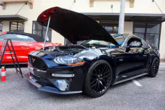 fm-mustangs-mustangs-show-2026-gallery-640-www.fordmuscle.com