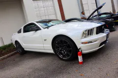 fm-mustangs-mustangs-show-2026-gallery-674-www.fordmuscle.com