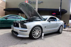 fm-mustangs-mustangs-show-2026-gallery-696-www.fordmuscle.com