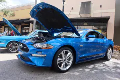 fm-mustangs-mustangs-show-2026-gallery-716-www.fordmuscle.com