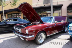 fm-mustangs-mustangs-show-2026-gallery-733-www.fordmuscle.com