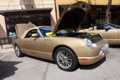 fm-mustangs-mustangs-show-2026-gallery-738-www.fordmuscle.com