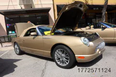 fm-mustangs-mustangs-show-2026-gallery-738-www.fordmuscle.com