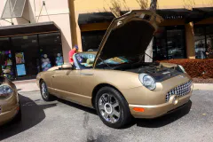 fm-mustangs-mustangs-show-2026-gallery-741-www.fordmuscle.com