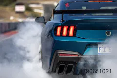31-DSC06752
