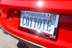 fm-fav-mw25-vanity-plates-gallery-img-7455-www.fordmuscle.com