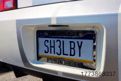 fm-fav-mw25-vanity-plates-gallery-img-7467-www.fordmuscle.com