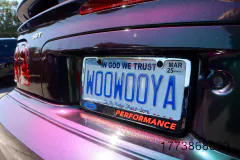 fm-fav-mw25-vanity-plates-gallery-img-7470-www.fordmuscle.com