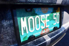 fm-fav-mw25-vanity-plates-gallery-img-7708-www.fordmuscle.com