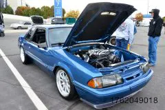 foxtoberfest-2025-attracted-nearly-900-foxes-and-we-picked-10-favs-www.fordmuscle.com-104-scaled-www.fordmuscle.com