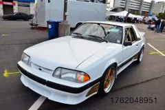 foxtoberfest-2025-attracted-nearly-900-foxes-and-we-picked-10-favs-www.fordmuscle.com-44-scaled-www.fordmuscle.com