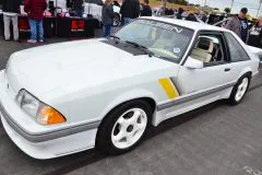 foxtoberfest-2025-attracted-nearly-900-foxes-and-we-picked-10-favs-www.fordmuscle.com-72-scaled-www.fordmuscle.com