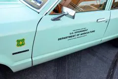 foxtoberfest-2025-attracted-nearly-900-foxes-and-we-picked-10-favs-www.fordmuscle.com-80-scaled-www.fordmuscle.com