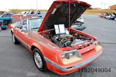 foxtoberfest-2025-attracted-nearly-900-foxes-and-we-picked-10-favs-www.fordmuscle.com-94-scaled-www.fordmuscle.com