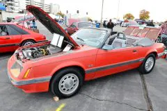 foxtoberfest-2025-attracted-nearly-900-foxes-and-we-picked-10-favs-www.fordmuscle.com-96-scaled-www.fordmuscle.com