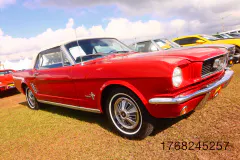 fm-five-fav-mecum-kissimme-26-fords-gallery404-www.fordmuscle.com
