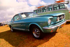 fm-five-fav-mecum-kissimme-26-fords-gallery422-www.fordmuscle.com