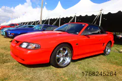 fm-five-fav-mecum-kissimme-26-fords-gallery448-www.fordmuscle.com