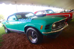 fm-five-fav-mecum-kissimme-26-fords-gallery457-www.fordmuscle.com