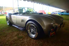 fm-five-fav-mecum-kissimme-26-fords-gallery463-www.fordmuscle.com