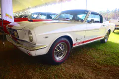 fm-five-fav-mecum-kissimme-26-fords-gallery466-www.fordmuscle.com