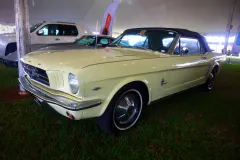 fm-five-fav-mecum-kissimme-26-fords-gallery483-www.fordmuscle.com