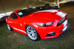 fm-five-fav-mecum-kissimme-26-fords-gallery491-www.fordmuscle.com