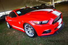 fm-five-fav-mecum-kissimme-26-fords-gallery491-www.fordmuscle.com