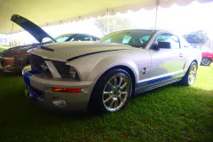 fm-five-fav-mecum-kissimme-26-fords-gallery526-www.fordmuscle.com