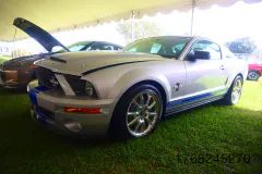 fm-five-fav-mecum-kissimme-26-fords-gallery526-www.fordmuscle.com
