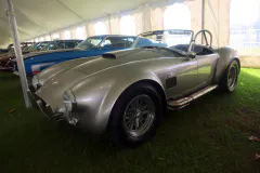 fm-five-fav-mecum-kissimme-26-fords-gallery586-www.fordmuscle.com