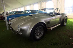 fm-five-fav-mecum-kissimme-26-fords-gallery586-www.fordmuscle.com
