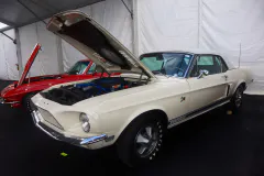 fm-five-fav-mecum-kissimme-26-fords-gallery623-www.fordmuscle.com