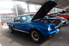 fm-five-fav-mecum-kissimme-26-fords-gallery688-www.fordmuscle.com